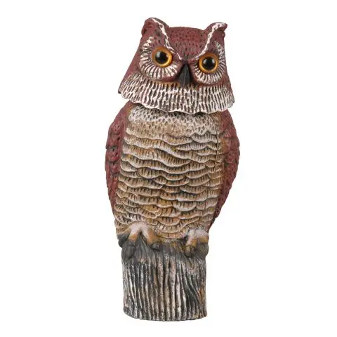 Silverline Guard Owl Fågelskrämma Begränsat antal